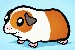 xsv_how-to-draw-a-guinea-pig-for-kids-tutorial-drawing
